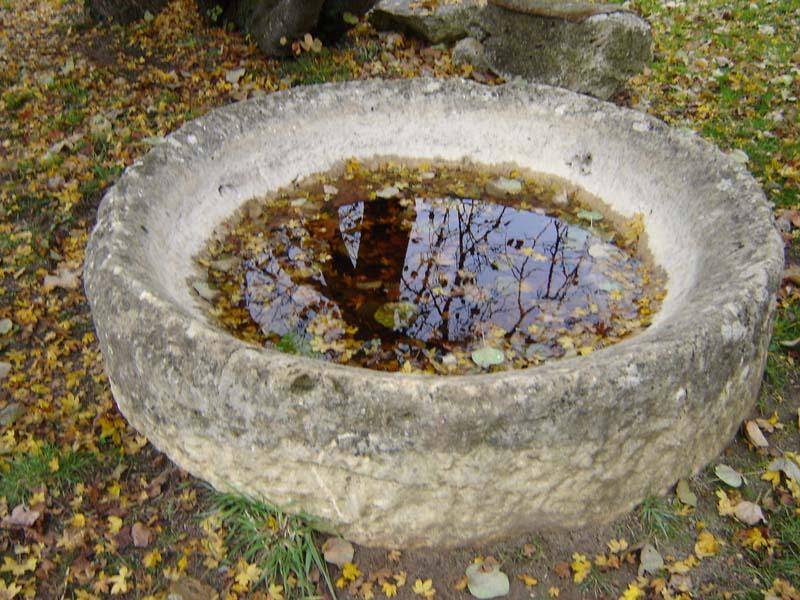 Le Ferme des Lizettes extérieurs et environs (7)