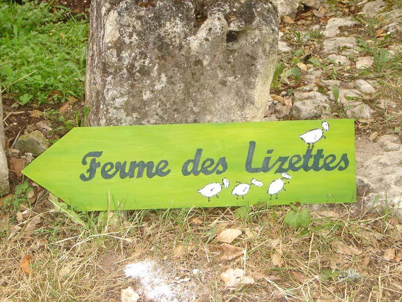 Le Ferme des Lizettes extérieurs et environs (9)