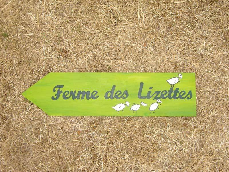 Le Ferme des Lizettes extérieurs et environs (10)