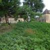 Le Ferme des Lizettes extérieurs et environs (14)