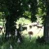 Le Ferme des Lizettes extérieurs et environs (16)