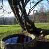 Le Ferme des Lizettes extérieurs et environs (21)